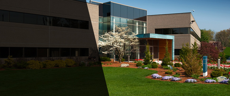 San Pablo Landscapers