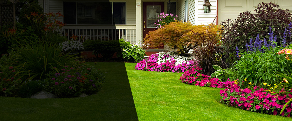 San Pablo Landscapers