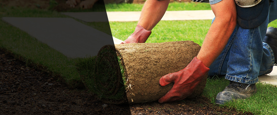 San Pablo Landscapers